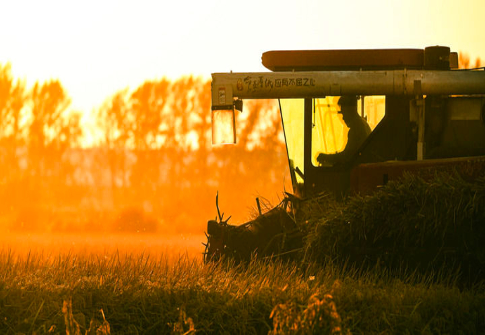 ！“人文”与“经济”辉映共生pg电子免费模拟器双节相遇
