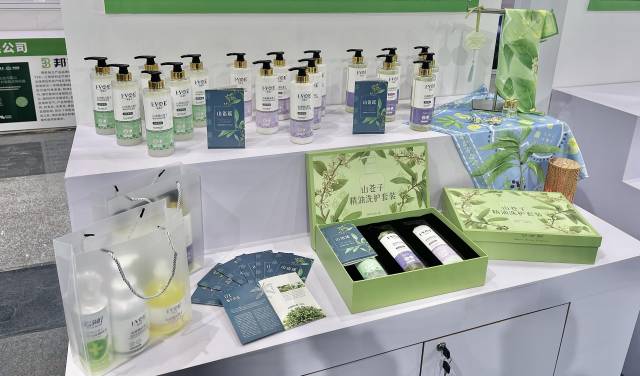 北山野“小辛香”如何迈向“大市场”pg电子试玩一颗山苍子的新生：粤(图2)