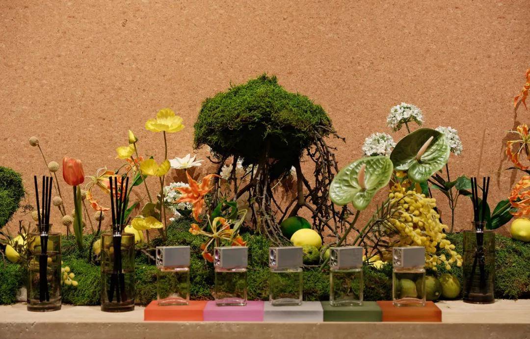 隔离岛的故事如何转化为一款香气?pg电子免费模拟器一座麻风病人(图9) 隔离岛的故事如何转化为一款香气?pg电子免费模拟器一座麻风病人(图9)